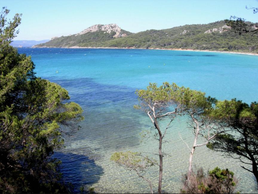 Superbe T2 Proche Des Plages Et Des Commerces 耶尔 外观 照片